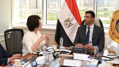 استثمارات-صينية-بـ20-مليون-دولار-لدعم-توطين-صناعة-السيارات-في-مصر