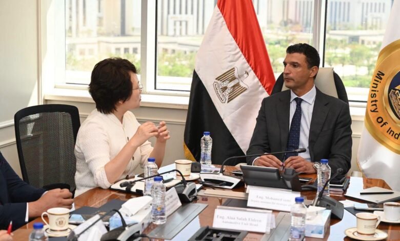 استثمارات-صينية-بـ20-مليون-دولار-لدعم-توطين-صناعة-السيارات-في-مصر