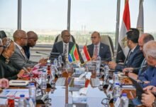 south-africa-completes-technical-plans-for-automotive-and-industrial-pact-with-egypt