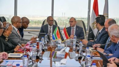 south-africa-completes-technical-plans-for-automotive-and-industrial-pact-with-egypt