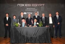 rox-esi-egypt-to-manufacture-new-energy-vehicles-for-domestic,-export-markets